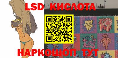 прущие грибы Моздок