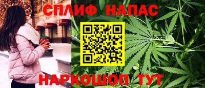 прущие грибы Моздок