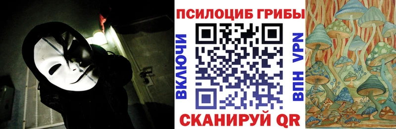 MEGA зеркало  цены   Череповец  Галлюциногенные грибы MAGIC MUSHROOMS 