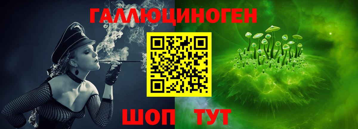 Галлюциногенные грибы Psilocybine cubensis Череповец
